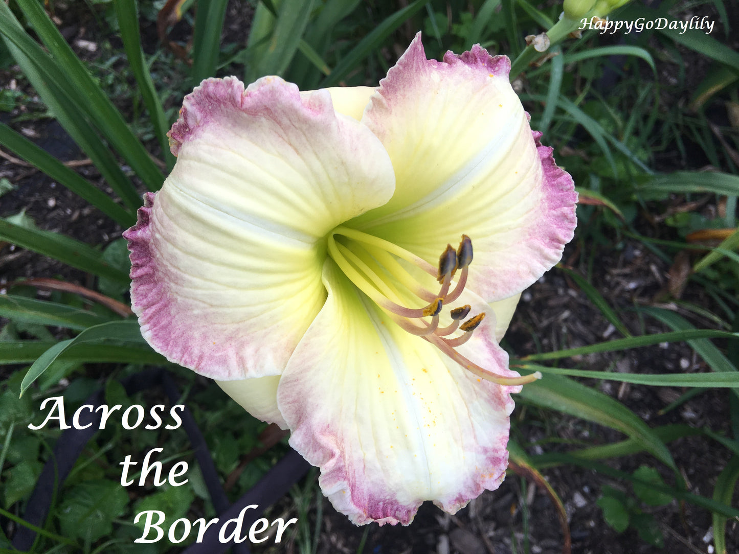 Across The Border