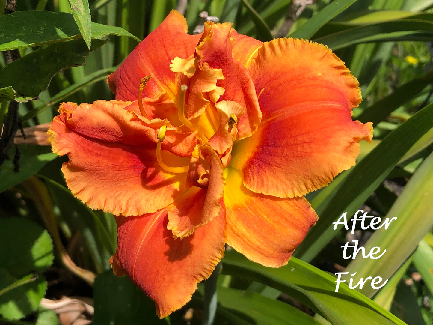 After The Fire